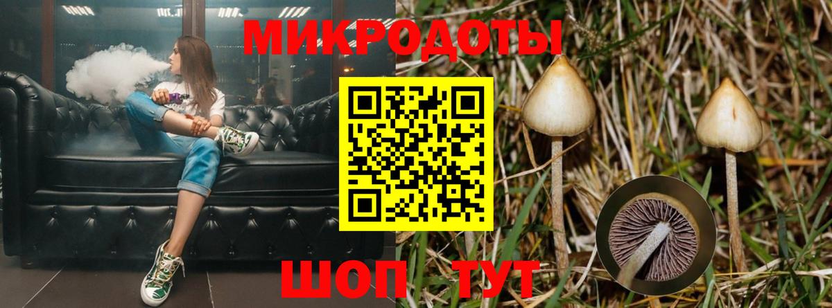 Галлюциногенные грибы GOLDEN TEACHER  Вход с VPN  Дивногорск 